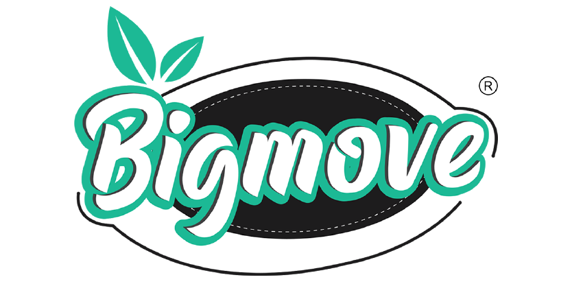 Big Move Logo - Go to top